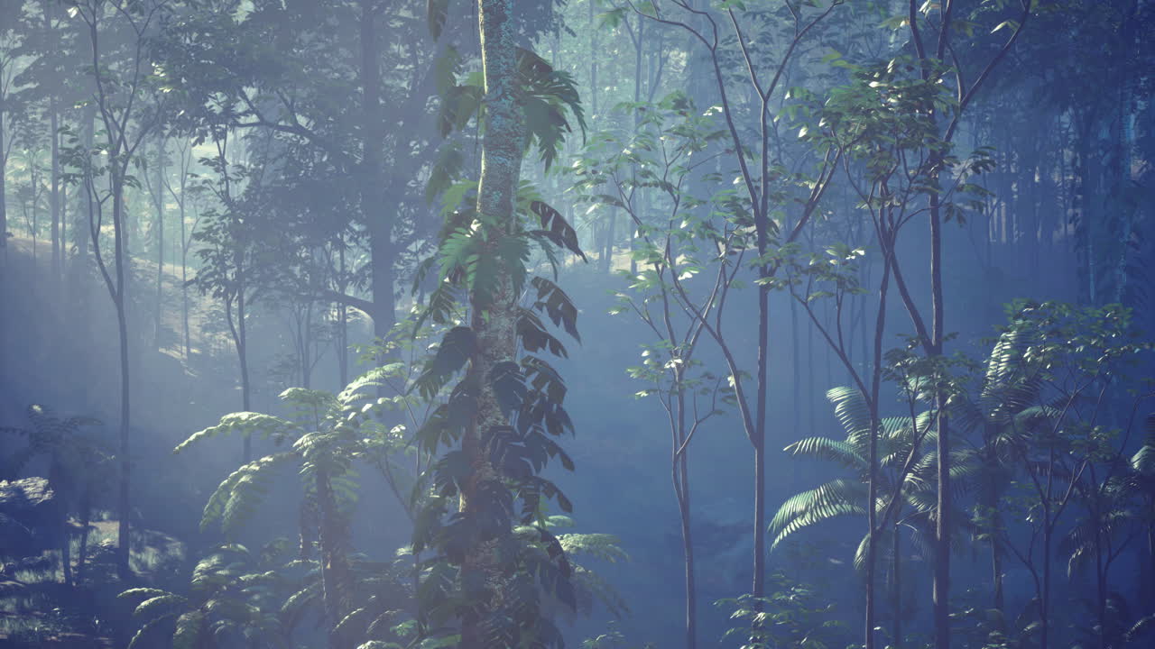 Sunlight filtering through lush forest foliage in a serene environment