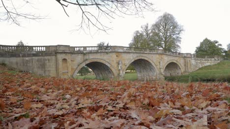 Slow-Motion-Leaves-Falling-on-an-Autumn-Scene