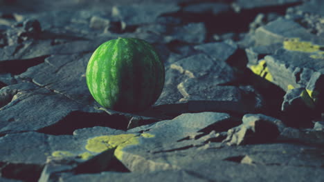 bayas de frutas de sandía en piedras rocosas