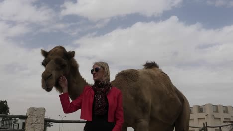 woman touches camel