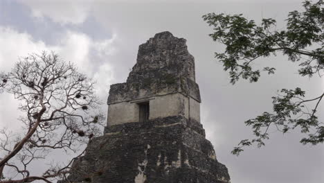 tikal national park top of great jaguar temple 1 pyramid. archaeological ruins, guatemala slow motion