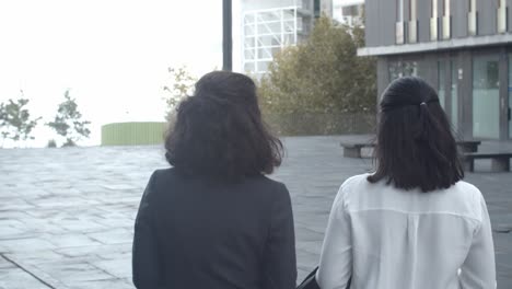 back view of female colleagues going from work and talking