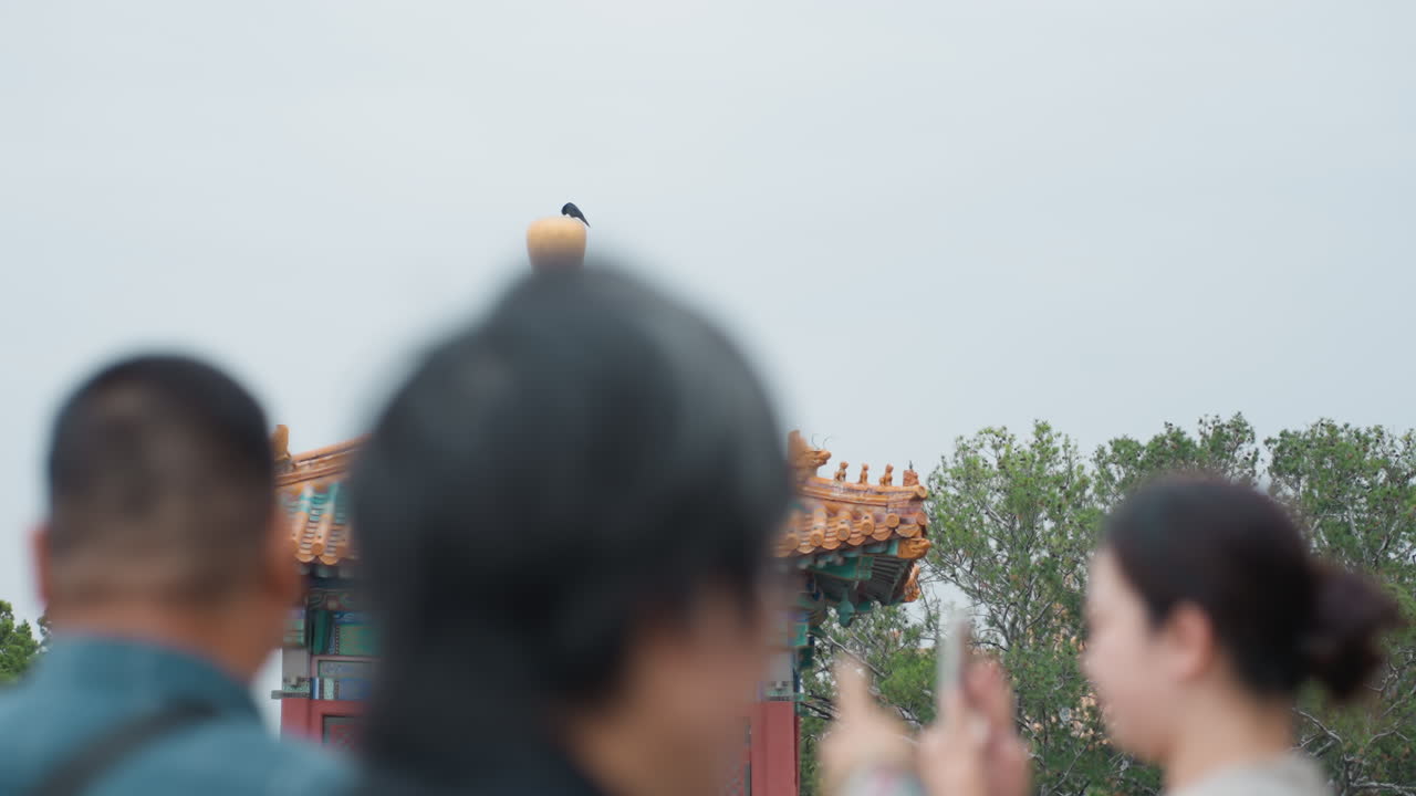Turisti asiatici che fotografano un tetto di tempio decorato, cielo coperto. Figure sfocate in primo piano che tengono in mano i telefoni, tegole smaltate turchesi e gronde arancioni. Alberi del parco incorniciano un padiglione storico, viaggio tranquillo.