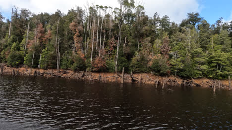 travelling on a boat down a river as trees rush past on the banks in the wilderness