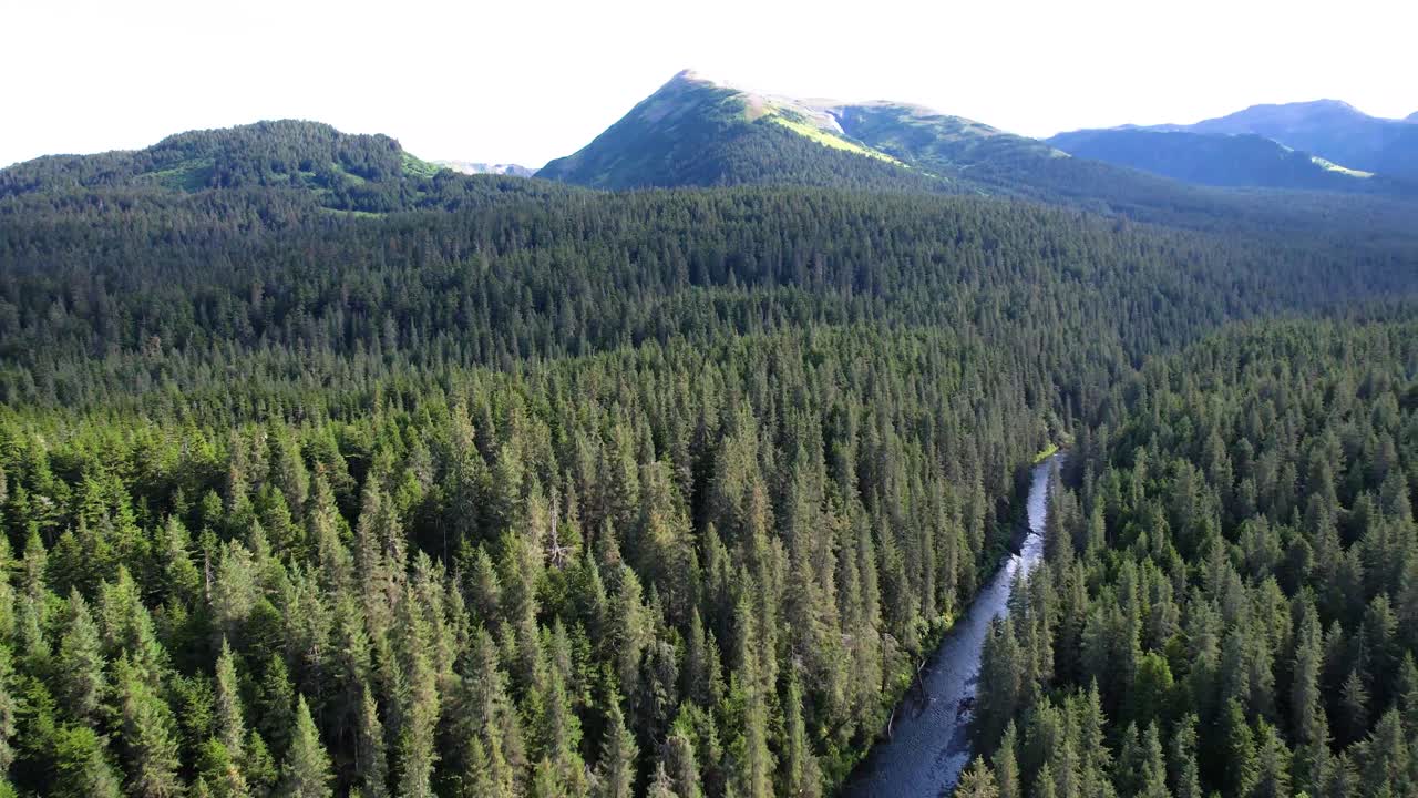 Natura selvaggia dell'Alaska ricoperta di pini con fiume e montagne in lontananza