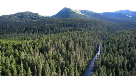 Alaskan-pine-tree-covered-wilderness-with-river-and-distant-mountains