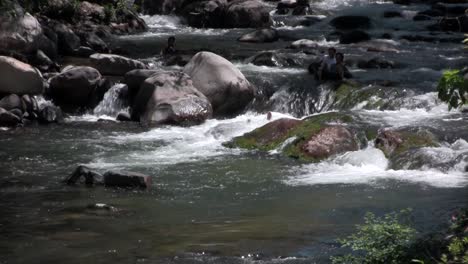 Menschen-Schwimmen-Auf-Schläuchen-Einen-Fluss-Hinunter