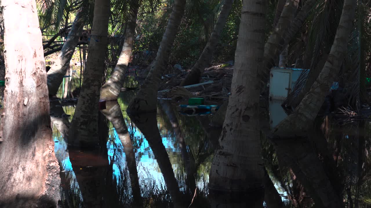 쓰레기와 쓰레기가 많은 열대 섬에 버려라