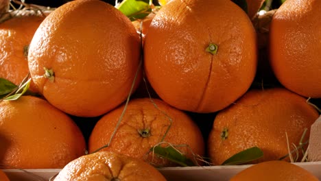 colorful row of fresh oranges on the counter.