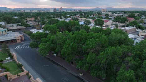 trees in old town plaza