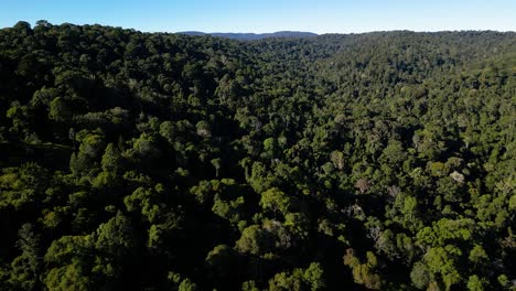 Aerial-over-Lamington-National-Park,-Gold-Coast-Hinterland,-Scenic-Rim