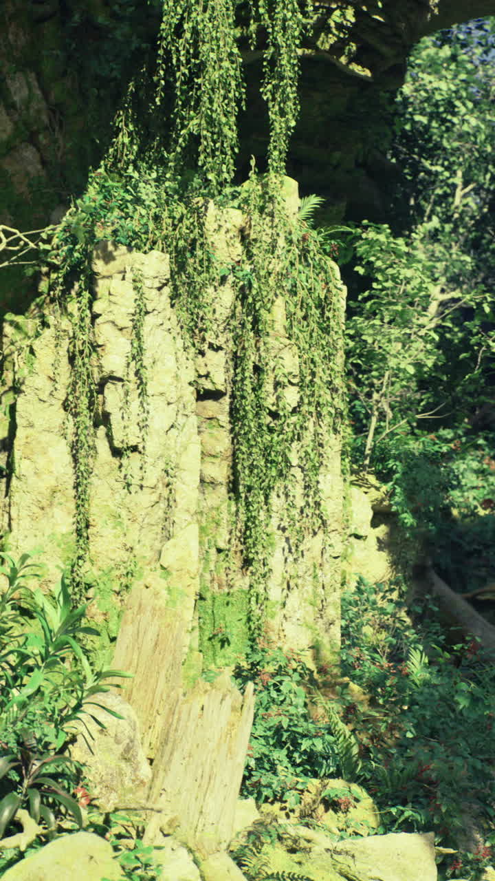 Lush greenery enveloping ancient rock formations in a tranquil forest setting