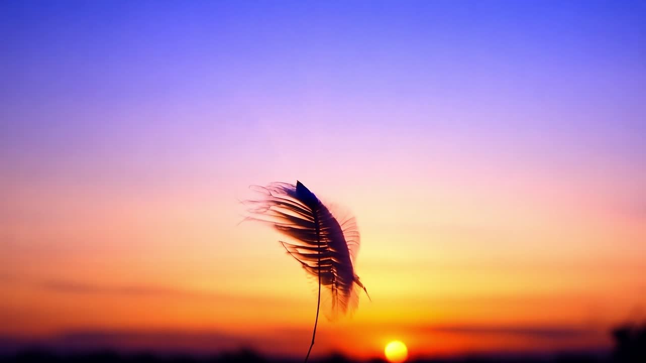 las plumas se balancean suavemente en el viento contra un telón de fondo de colores cambiantes del atardecer, creando una atmósfera serena y pacífica