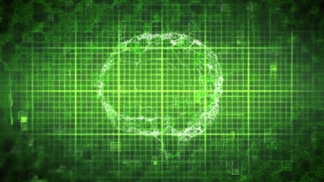 monitor de latidos cardíacos verde sobre el cerebro y el procesamiento de datos