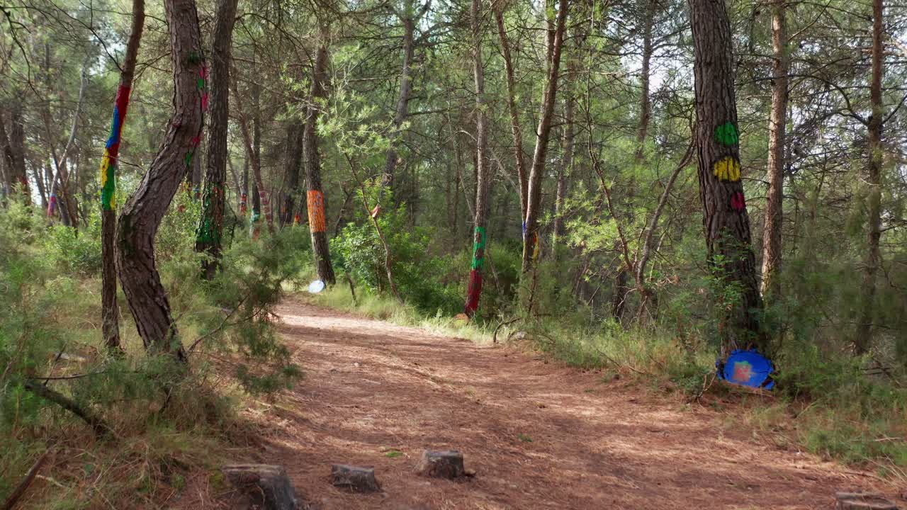 caminar por un sendero de tierra rodeado de un denso bosque verde y troncos de árboles pintados de diferentes colores durante el día