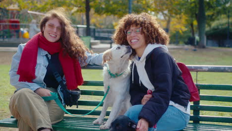 smiling women sitting with dogs in the park and posing for camera