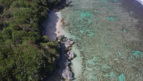 Vista-Aérea-A-Vista-De-Pájaro,-Arrecifes-De-Coral,-Playas-De-Arena-Y-Selva-Verde-En-La-Costa-De-Tonga,-Polinesia