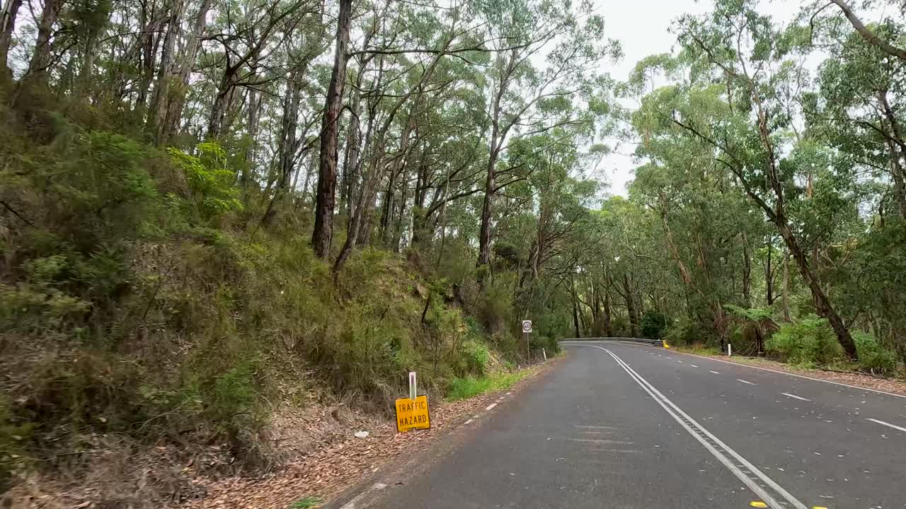 A vehicle travels quickly along a curving, tree-lined rural road under cloudy skies, captured in smooth hyperlapse motion with wide-angle perspective