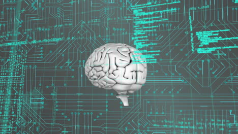 cerebro y códigos de programa con circuito digital