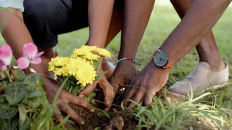 feliz pareja de ancianos afroamericanos jardinería en jardín soleado, cámara lenta