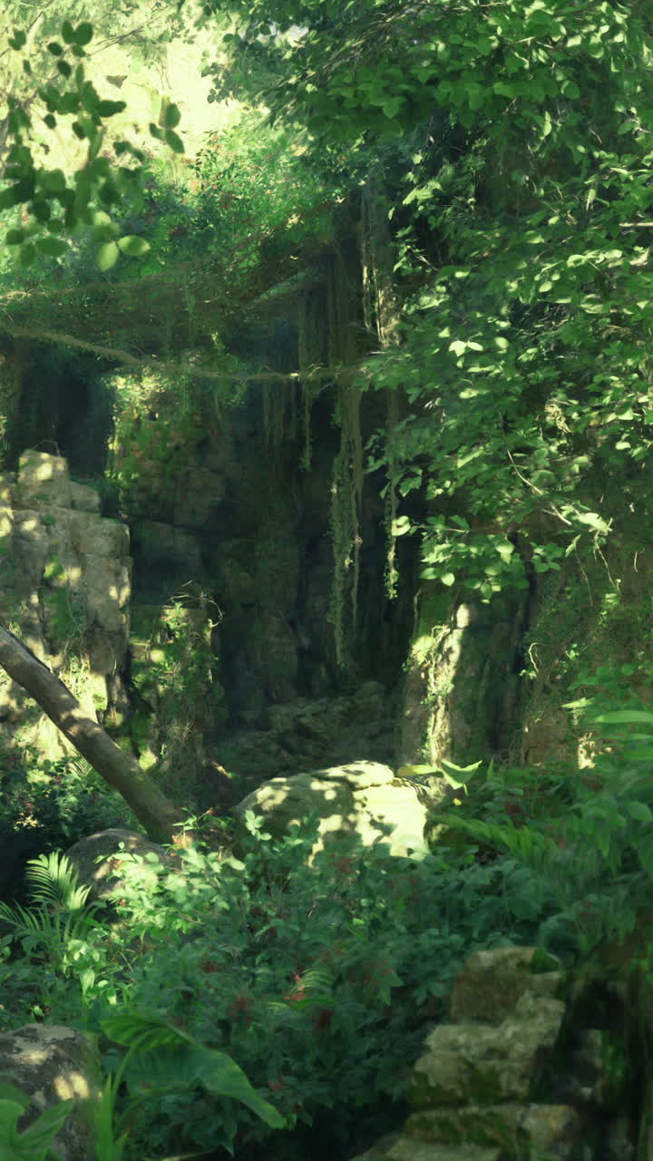 Lush green forest with vibrant foliage and rock formations during daytime