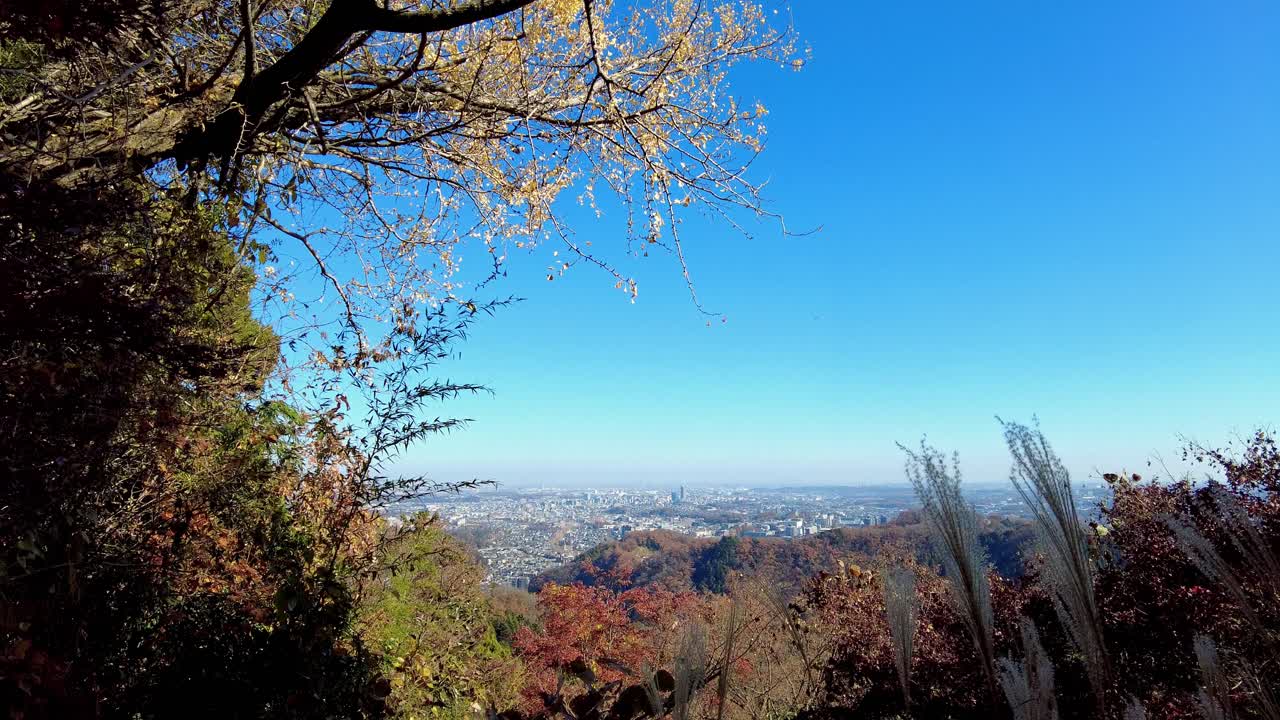 Mount Takao Day Trip: Explore Tokyo's Favorite Mountain