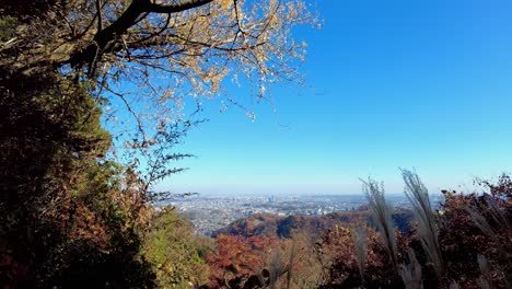 Mount-Takao-Day-Trip:-Explore-Tokyo's-Favorite-Mountain