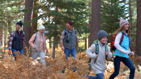 multi generation family walking in forest, selective focus