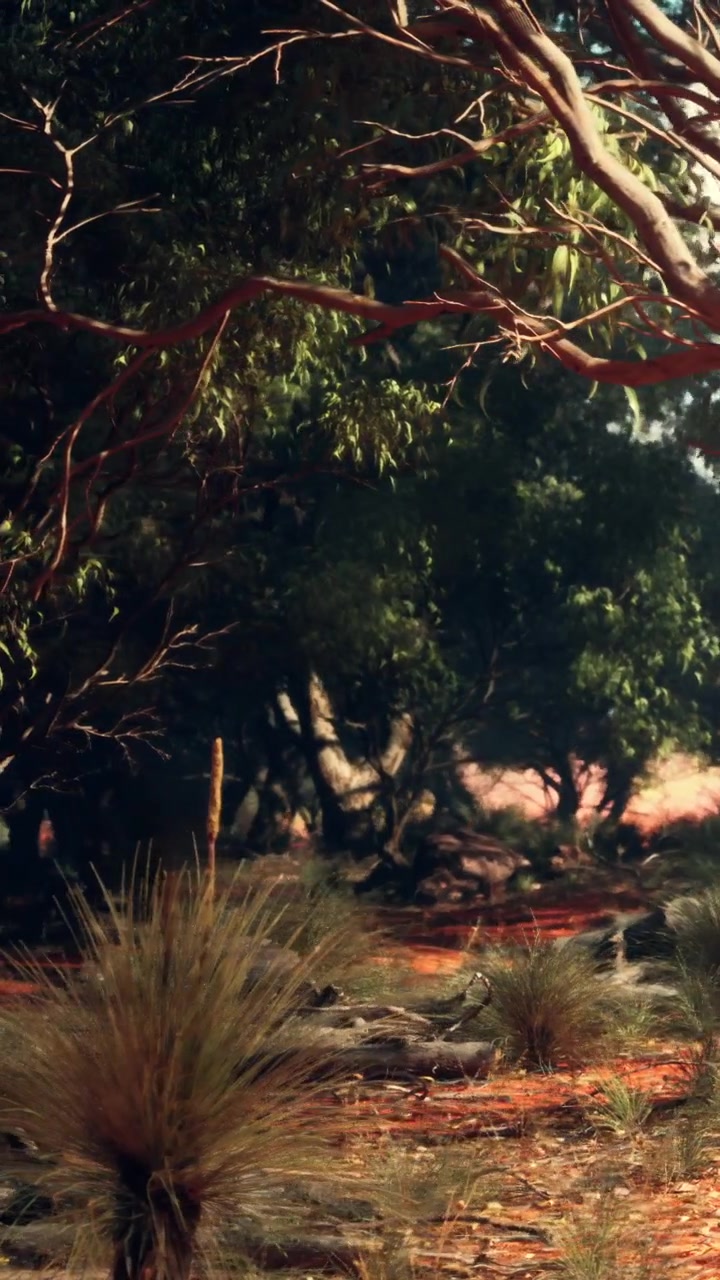 Ambiente naturale con alberi e piante in un paesaggio arido durante il giorno.