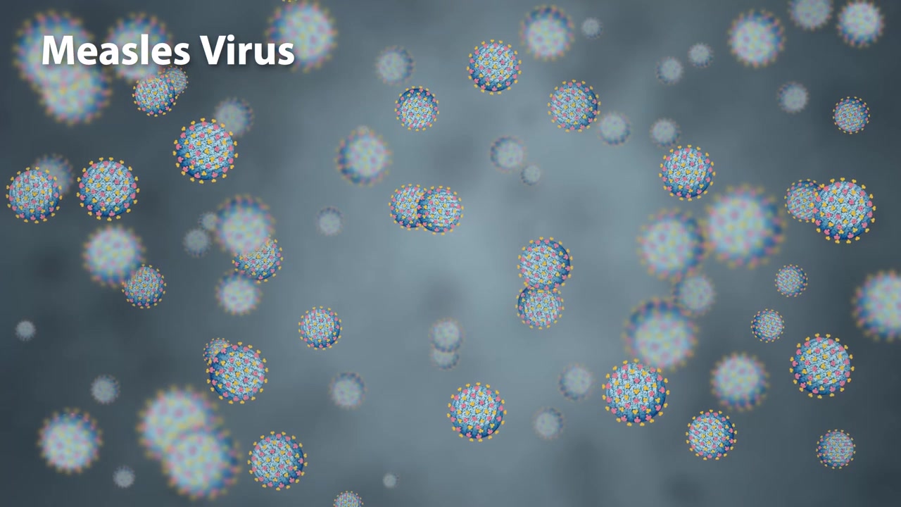 Particelle microscopiche 3D del virus del morbillo fluttuano e si spostano in un ambiente fluido grigio neutro