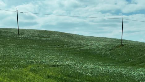 farmland meadows with single wire electricity lines stretch along, static view