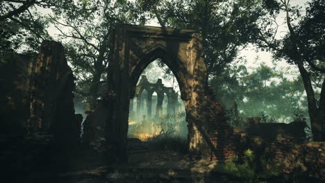 ruined gothic archway in a foggy forest