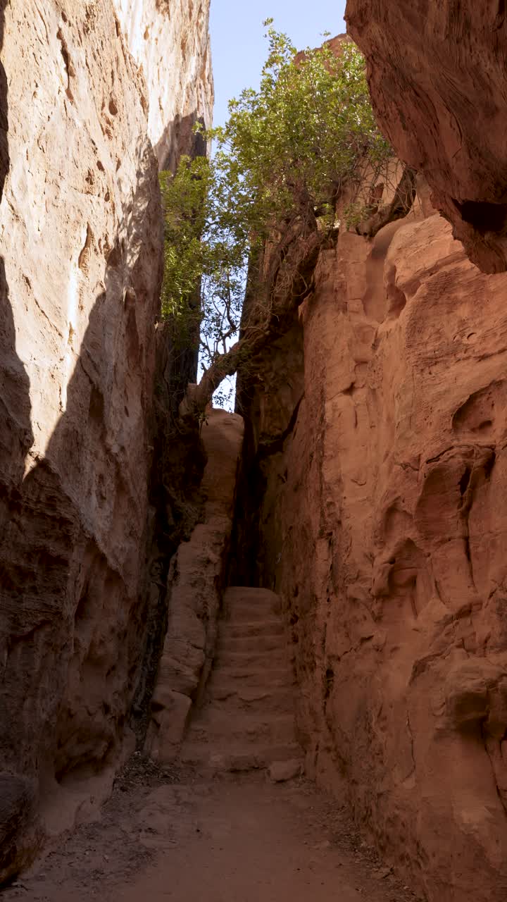 A vertical perspective of narrow rock carved stairs leading through a sandstone canyon in Little Petra, Jordan. Ideal for travel documentaries and social media content