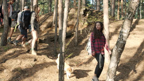 hikers in a forest with a dog