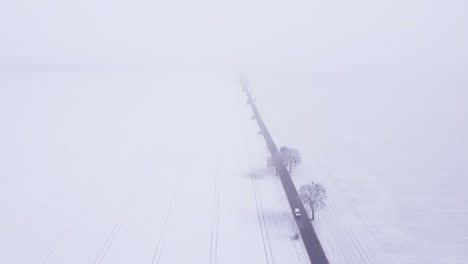 un automóvil blanco que viaja a través de la blancura invernal omnipresente
