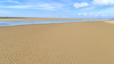 aerial view, sideways move. drone panorama over low tide sea and sand. flock of birds fly in front of camera