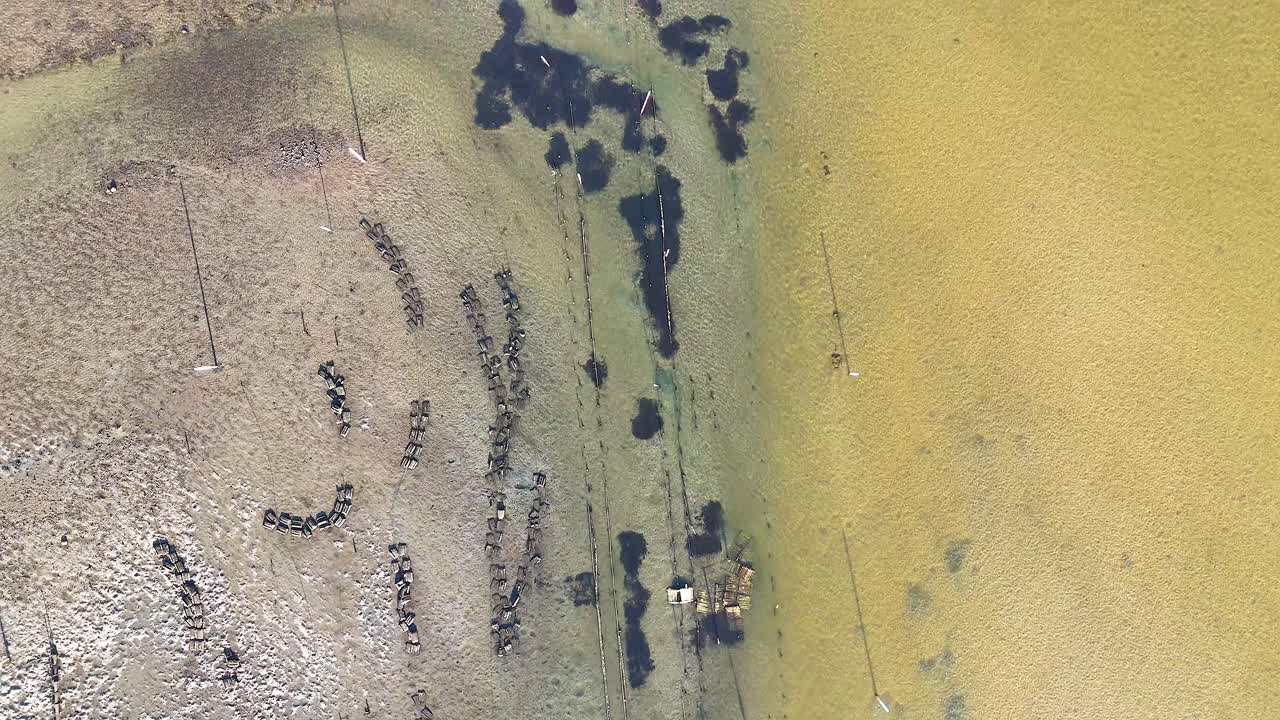 오스트리 침대 와 물 의 공중 사진