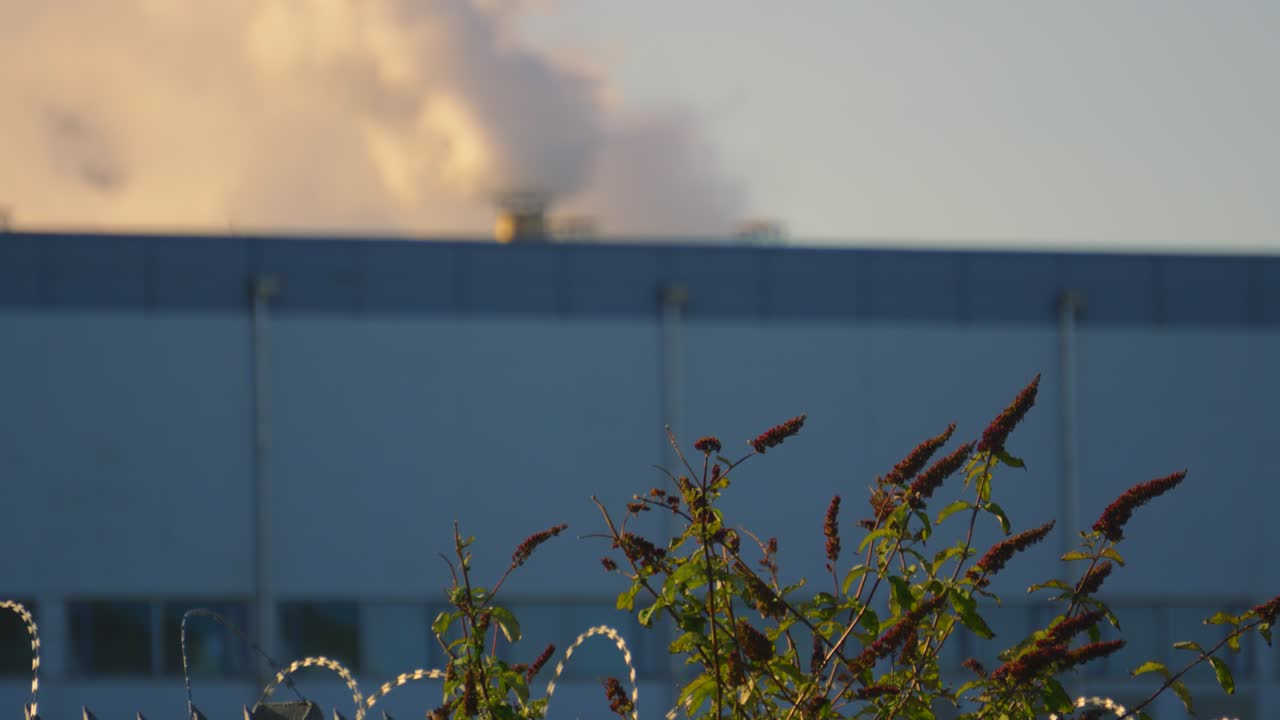 Natural Plants Outside Industrial Factory Releasing CO2 Smog into Atmopshere. Nature Directly Affected by Pollution Concept