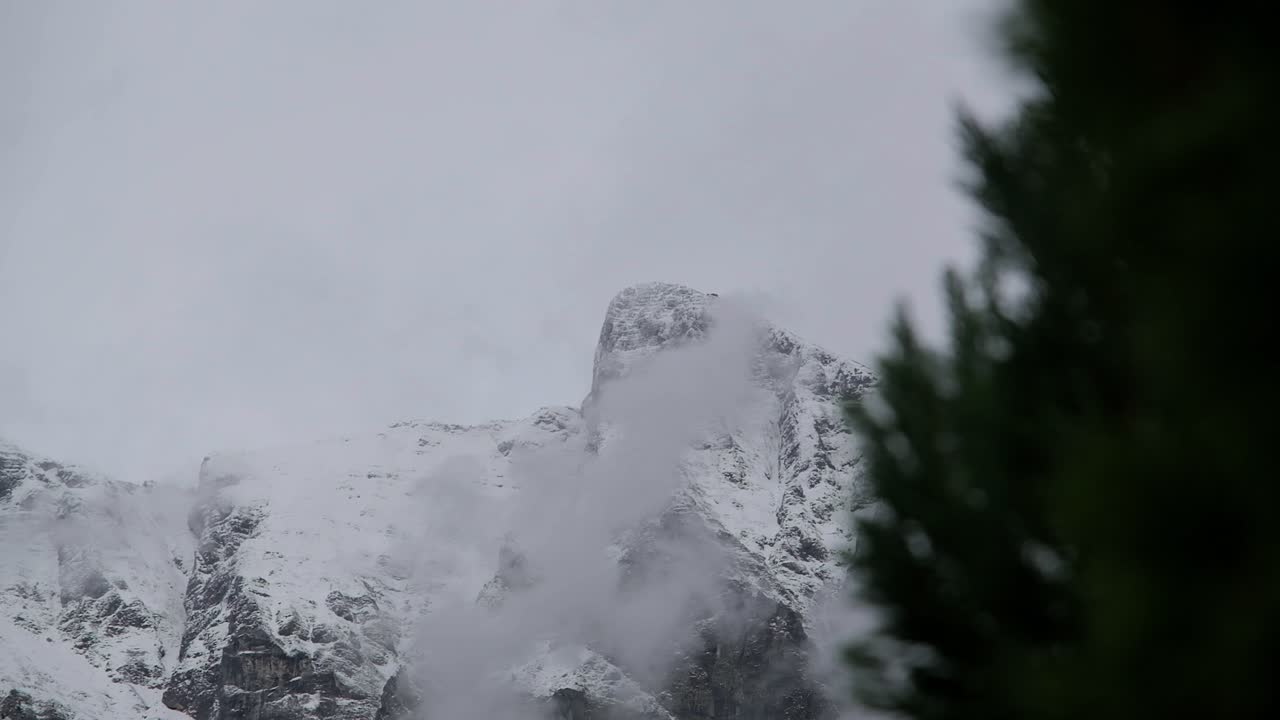 montaña krn en eslovenia cubierta de nieve con un árbol en primer plano