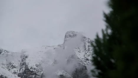 krn mountain in slovenia covered in snow with a tree in the foreground