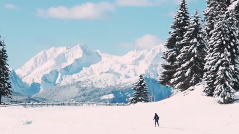 一名背包客独自在雪地里散步,背景是雪山和松树