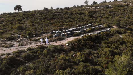 Aerial-view-of-beekeepers-walking-to-collect-honey-from-apiary