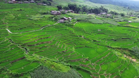 aerial view of rice terraces and small village in sapa, vietnam, showing traditional houses, farmland, and dramatic mountain landscape