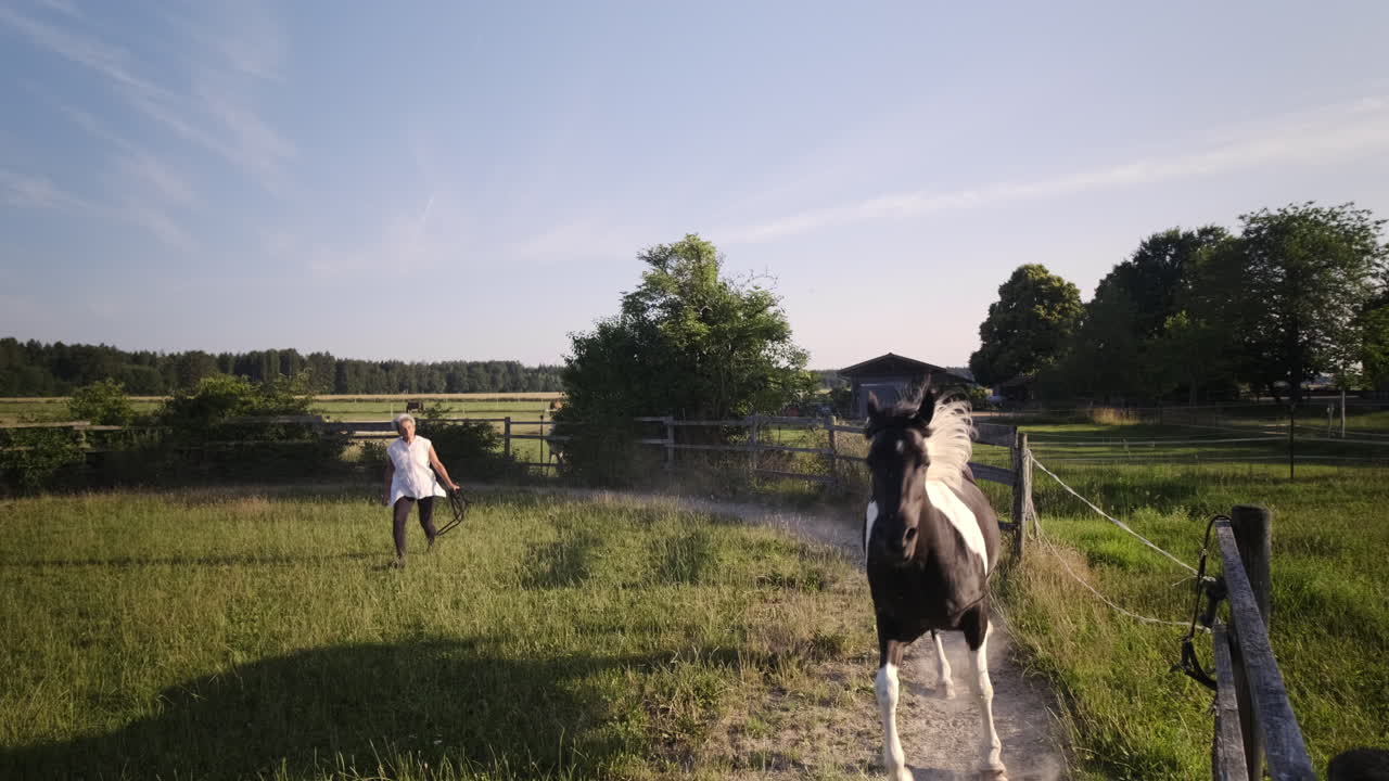 cautivar en el gracioso baile de una anciana y su caballo, caminando en círculos pacíficos