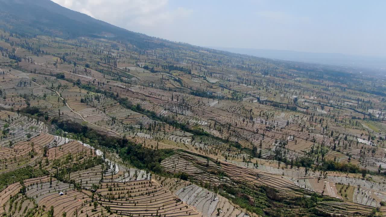 campos secos interminables en la base de la montaña en indonesia, vista aérea