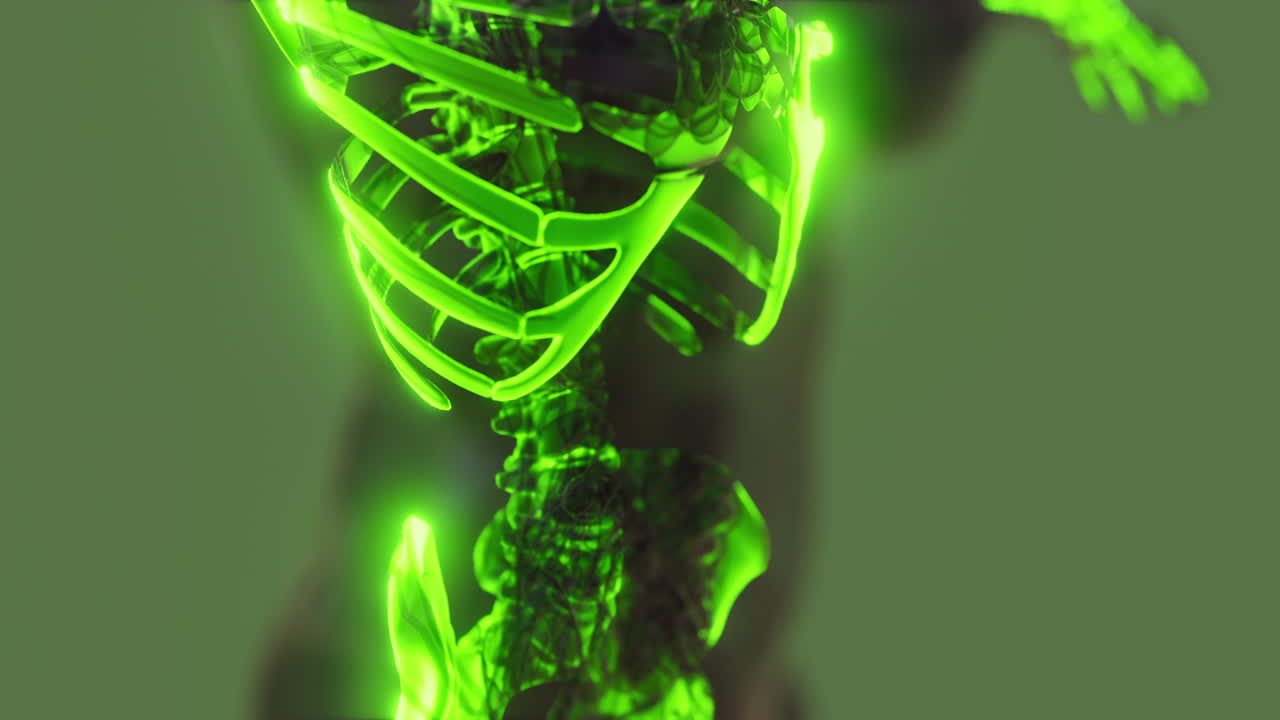 눈에 보이는 인간의 골격  ⁇