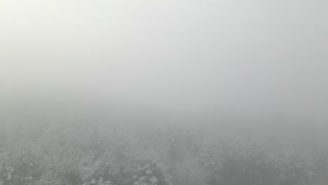 drone shot descending into a foggy, frozen forest