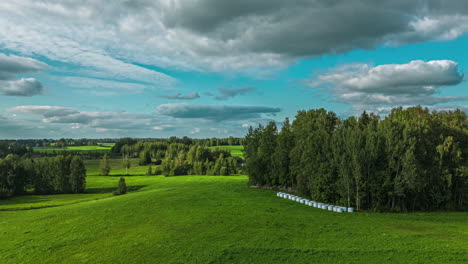 grove of trees as cloud shadows pass over, aerial orbit hyper lapse