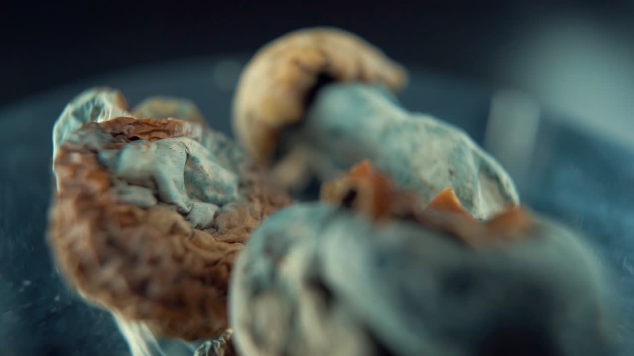 una toma macro cinematográfica de un 3 mágico psicoactivo psilocibina alucinación hongo seco con un gorro amarillo rojo, en un soporte reflectante giratorio, iluminación de estudio, full hd, cámara lenta, 120 fps