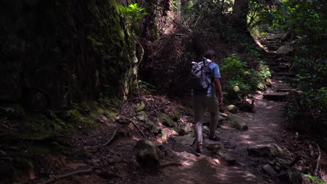 male hiker walking on a rocky path through the forest - medium shot